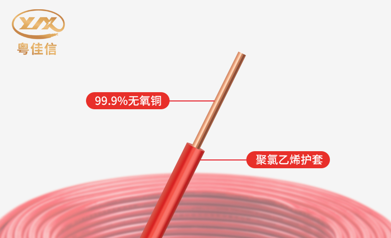 微信圖片_20250527142525